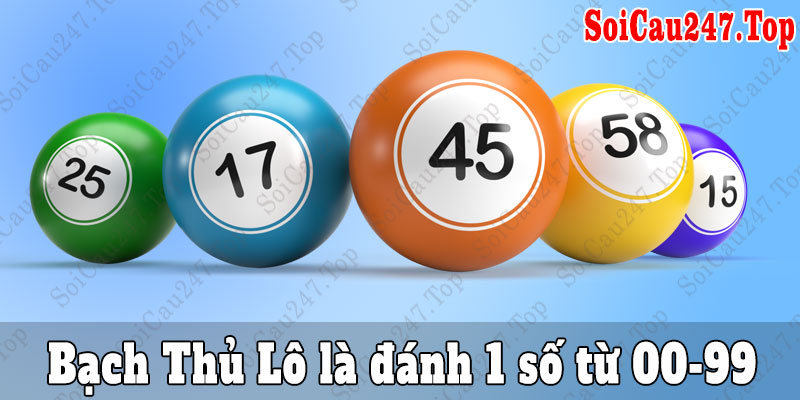 Định ngĩa bạch thủ lô