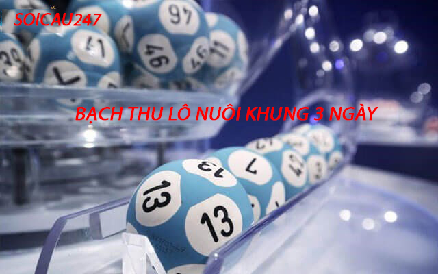 Kinh nghiệm bắt bạch thủ lô nuôi khung 3 ngày