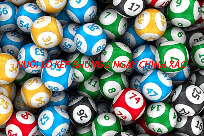 Nuôi lô kép khung 2 ngày hiệu quả cao có thể bạn chưa biết