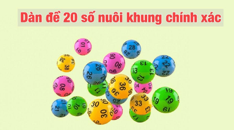 Lưu ý quan trọng cần nắm khi nuôi dàn đề 20 số nuôi khung
