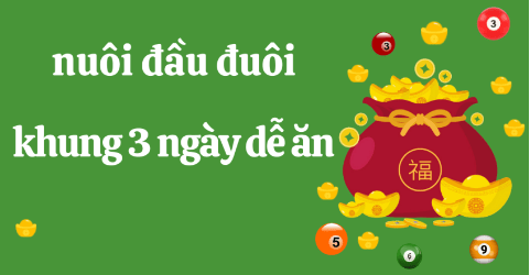 Nuôi đầu đuôi đặc biệt khung 3 ngày chiến thắng