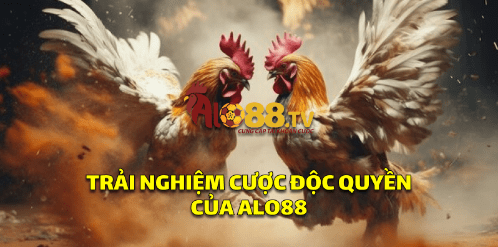Các trò chơi cá cược tại Bong88