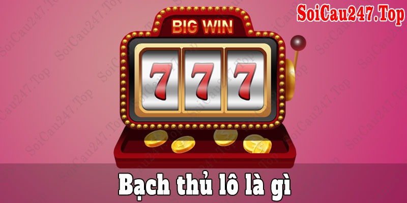 Bạch thủ lô là gì