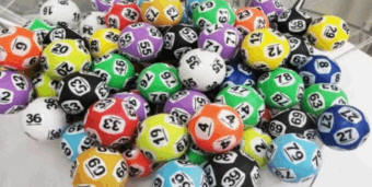 Giới thiệu về rồng bạch kim 888