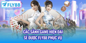 fly3