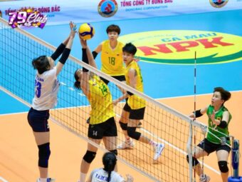 Tại Sao Cá Cược Bóng Chuyền Được Nhiều Người Lựa Chọn