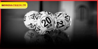 Rồng Bạch Kim 555 Và Cách Soi Cầu Miễn Phí 88