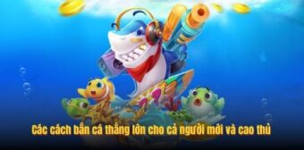 Các cách bắn cá thắng lớn cho cả người mới và cao thủ