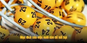 Mục đích của việc nuôi dàn đề bất bại