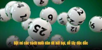 Bật mí các cách nuôi dàn đề bất bại, dễ lấy độc đắc