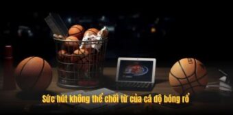 Sức hút không thể chối từ của cá độ bóng rổ