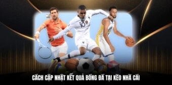 Cách cập nhật kết quả bóng đá tại Kèo Nhà Cái