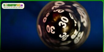 Khám phá sơ lược về rồng bạch kim 888