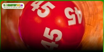 Những lưu ý khi theo rồng bạch kim cần biết