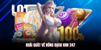 Rồng Bạch Kim 247 – Nền Tảng Soi Cầu Uy Tín Cho Cộng Đồng Xổ Số
