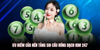 Ưu điểm của nền tảng soi cầu Rồng bạch kim 247