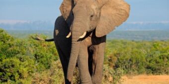 Phương pháp chọn số và cơ hội trúng