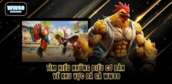 Tìm hiểu những điều cơ bản về khu vực đá gà WW88