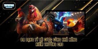 Đa dạng tỷ lệ cược cùng khả năng kiếm thưởng cao