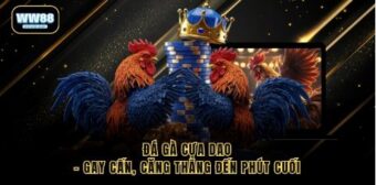 Đá gà cựa dao – Gay cấn, căng thẳng đến phút cuối