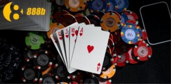 Chính sách đại lý rõ ràng, dễ bắt đầu cho người mới