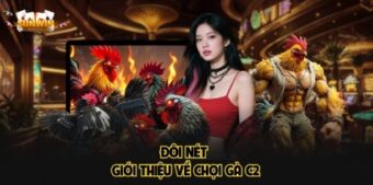 Đôi nét giới thiệu về chọi gà C2