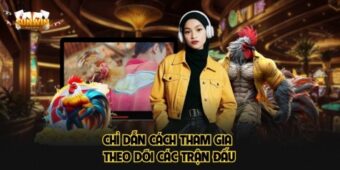 Chỉ dẫn cách tham gia theo dõi các trận đấu