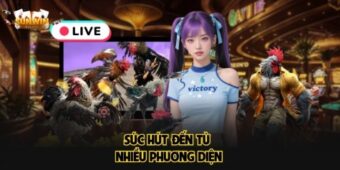 Sức hút đến từ nhiều phương diện