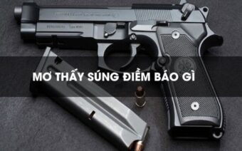 Nằm mơ thấy súng đánh số gì?