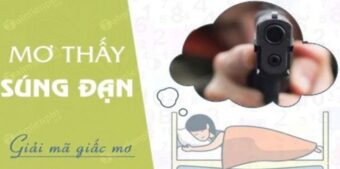 Giải mã giấc mơ nằm mơ thấy súng đánh con gì