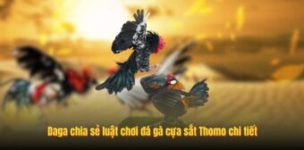 Daga chia sẻ luật chơi đá gà cựa sắt Thomo chi tiết