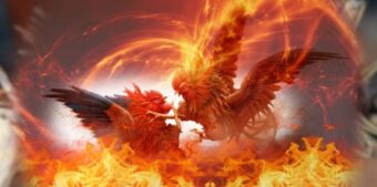 Các hình thức Đá gà trực tiếp phổ biến