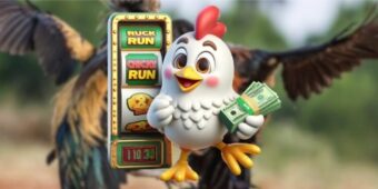 Kinh nghiệm theo dõi Đá gà trực tiếp hiệu quả