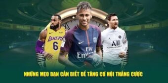 Bí Quyết Cá Cược Thể Thao Hiệu Quả Tại OK365