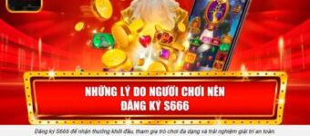 Đăng ký S666 trong 60 giây: điền đúng thông tin vào sảnh liền tay