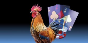 Nền tảng trực tuyến hỗ trợ theo dõi hiện đại