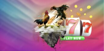 Cách đọc kết quả Thomo hiệu quả