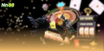 Chinh Phục Đá Gà Nn88 Với Chiến Lược Cá Cược Thông Minh