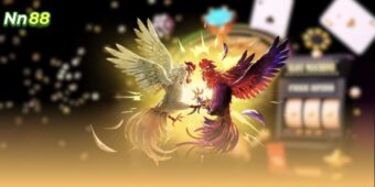 Thể loại đá gà đỉnh cao khi cá cược tại Nn88