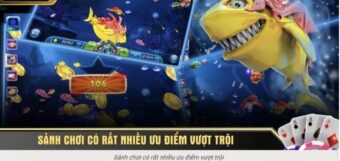 Bắn cá 8KBet cho người mới: chọn phòng đúng sức, khóa mục tiêu nhanh