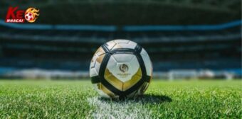 Chỉ dẫn cơ bản dành cho người mới tại Soi kèo nhà cái