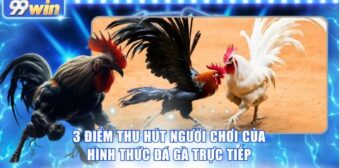 3 điểm thu hút người chơi của hình thức đá gà trực tiếp
