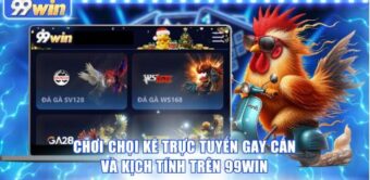 Chơi chọi kê trực tuyến gay cấn và kịch tính trên 99WIN