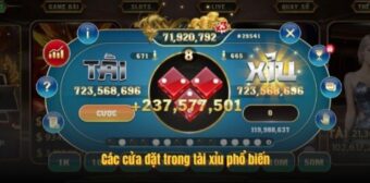 Các cửa đặt trong tài xỉu phổ biến