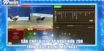 Sân chơi BJ88 cập nhật hơn 200 trận đấu chọi kê mỗi ngày
