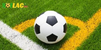 Theo dõi lịch thi đấu bóng đá hằng ngày cùng trang web