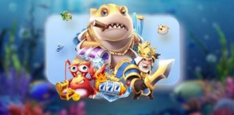 Điểm nổi bật tạo nên sức hút đại dương