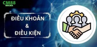 Tổng quan về hệ thống Điều khoản và Điều kiện áp dụng