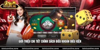 Giới thiệu chi tiết chính sách điều khoản điều kiện