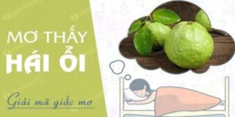 Mơ thấy hái trái cây đánh số gì? Bí mật đằng sau giấc mơ